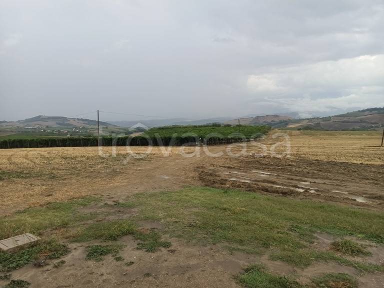 immagine annuncio 3 di 7