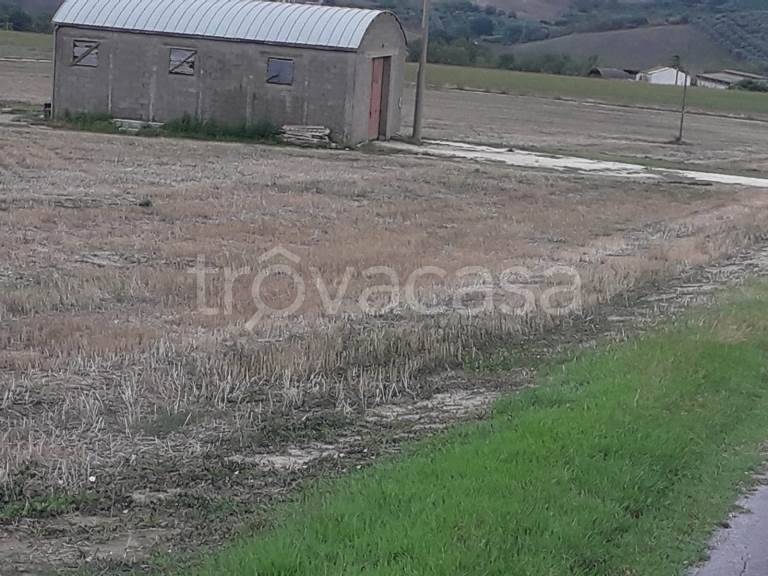 immagine annuncio 4 di 7