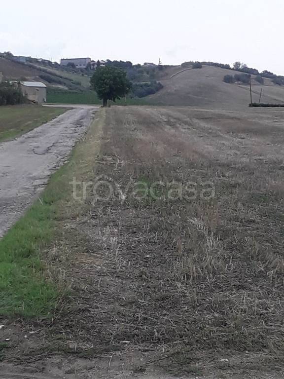 immagine annuncio 6 di 7