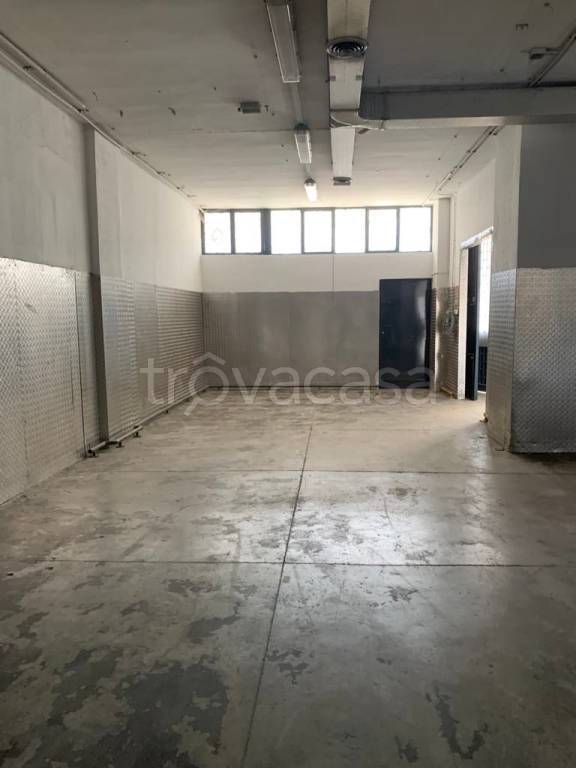 immagine annuncio 2 di 14