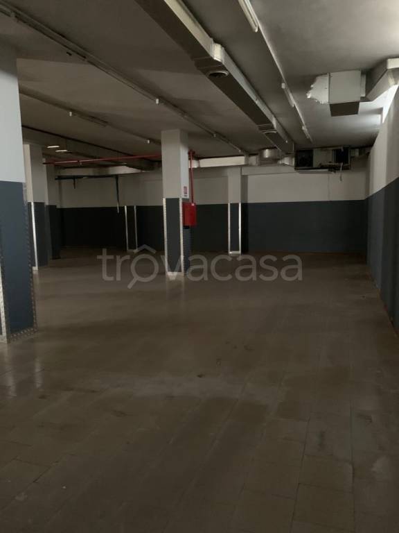 immagine annuncio 5 di 14