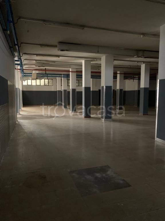 immagine annuncio 6 di 14