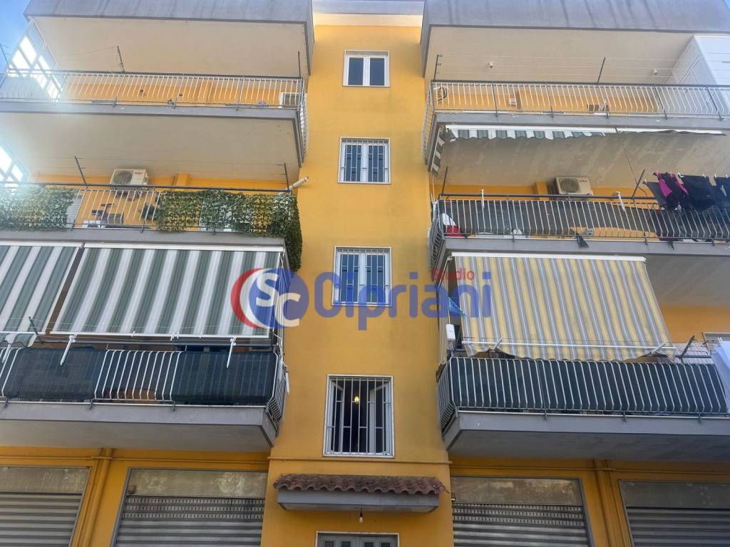 immagine annuncio 12 di 13