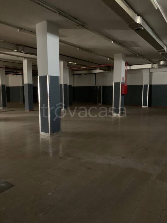 immagine annuncio 11 di 14