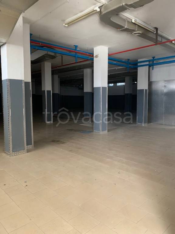 immagine annuncio 13 di 14