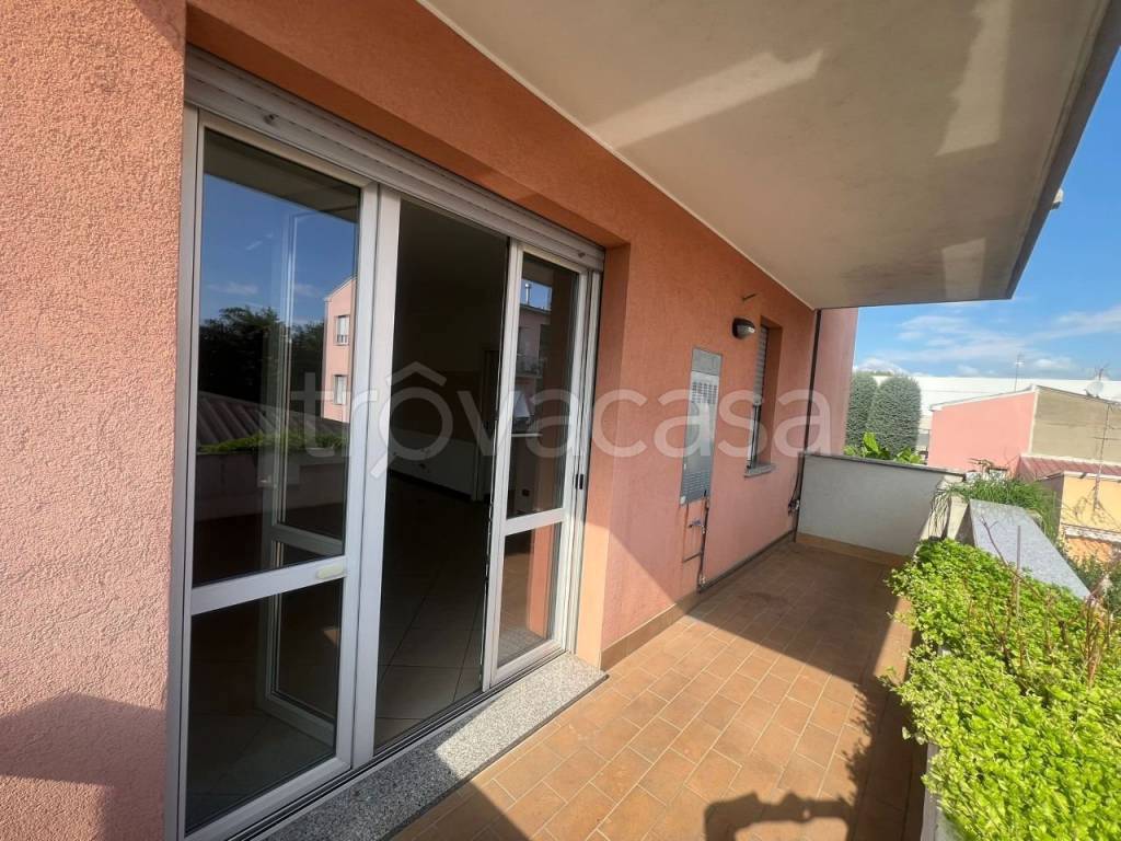 immagine annuncio 10 di 12