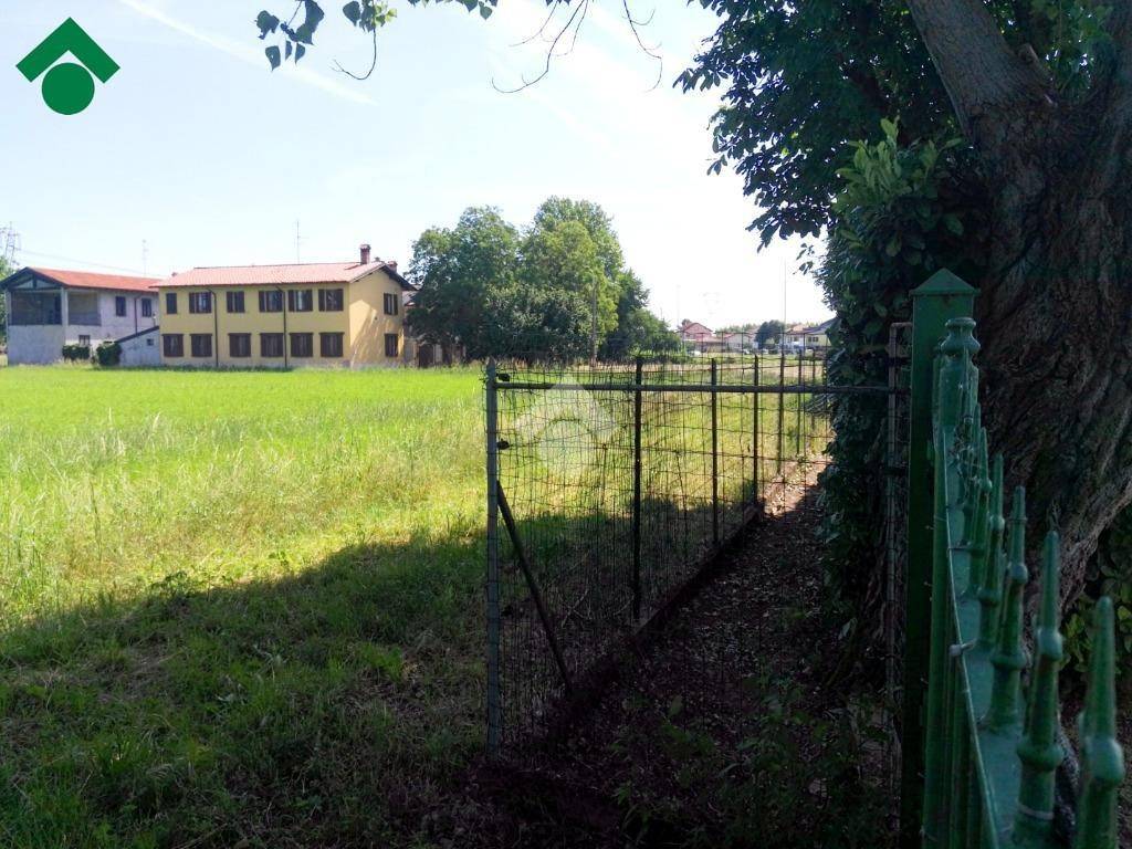 immagine annuncio 2 di 11