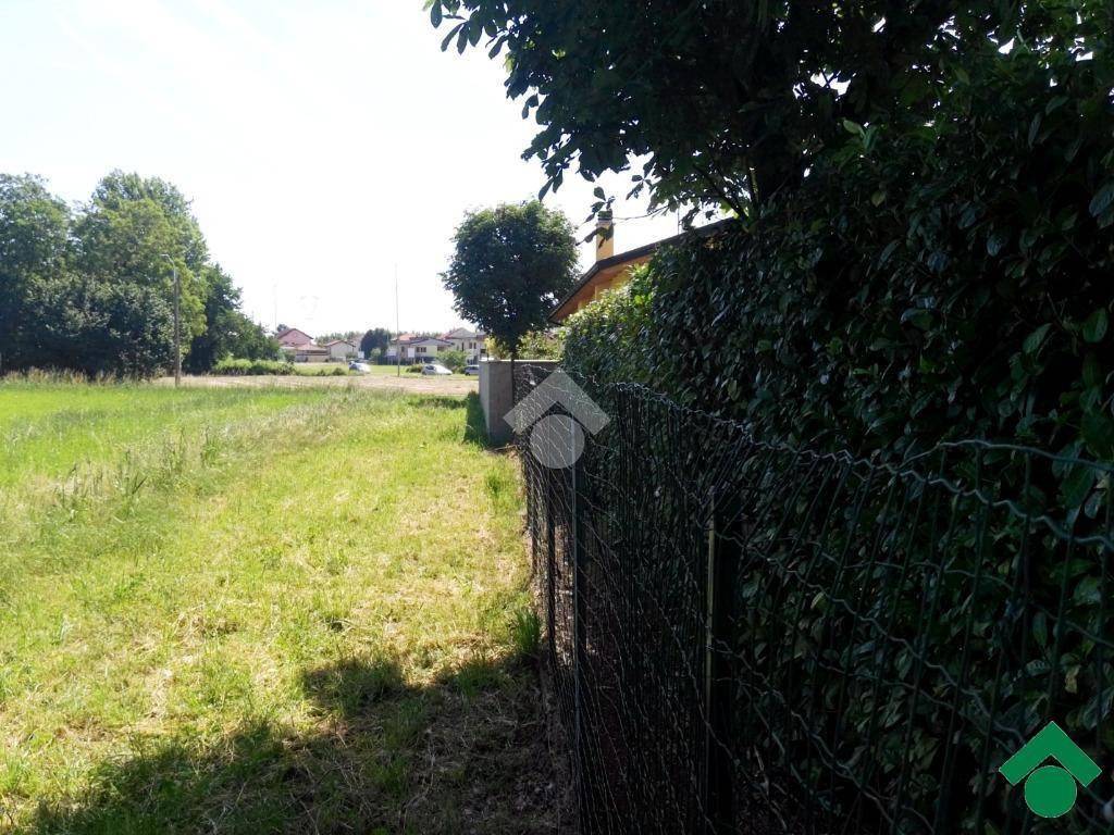 immagine annuncio 6 di 11