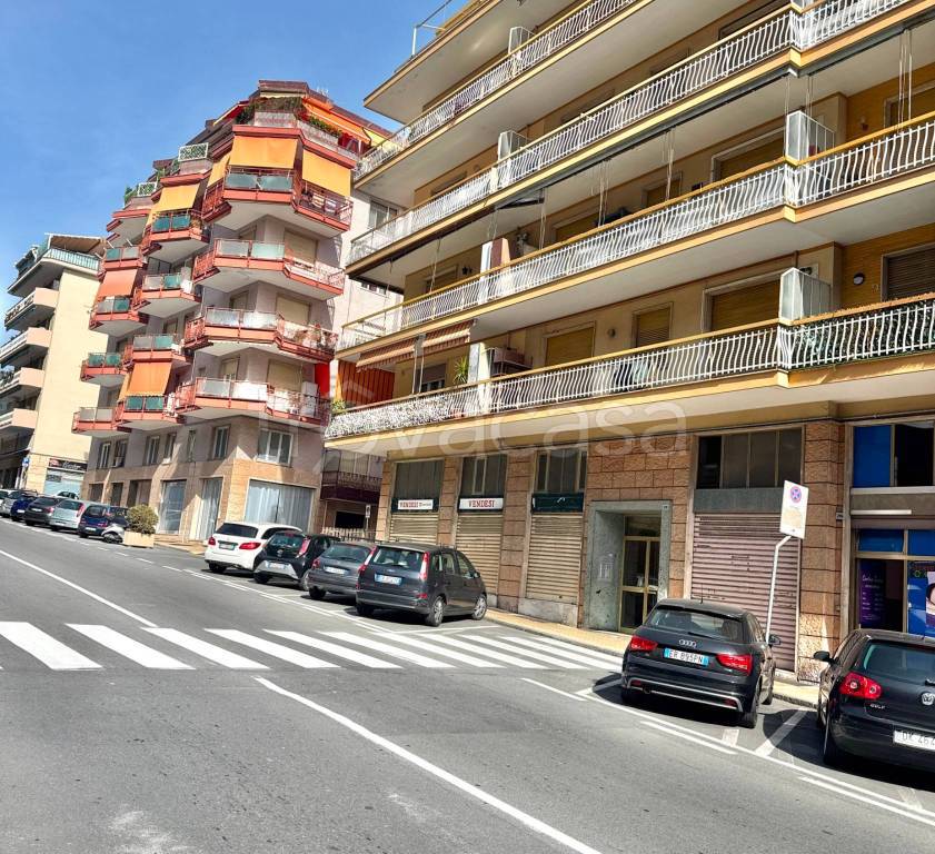 immagine annuncio 12 di 13