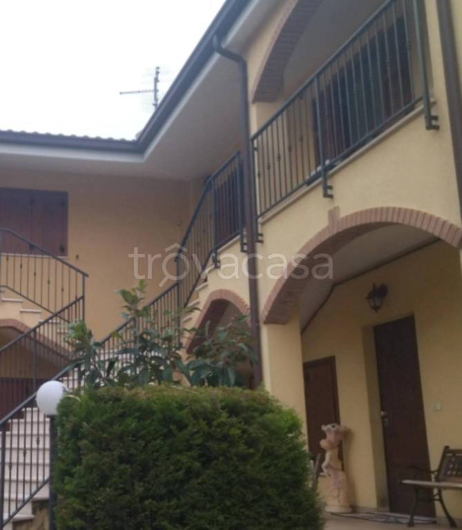 immagine annuncio 7 di 11