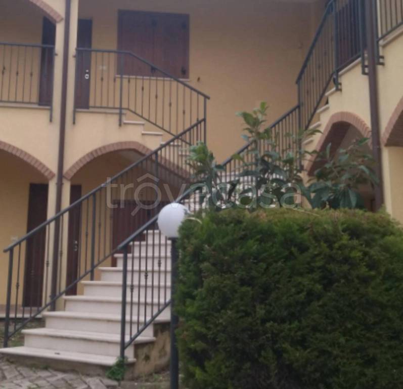 immagine annuncio 8 di 11