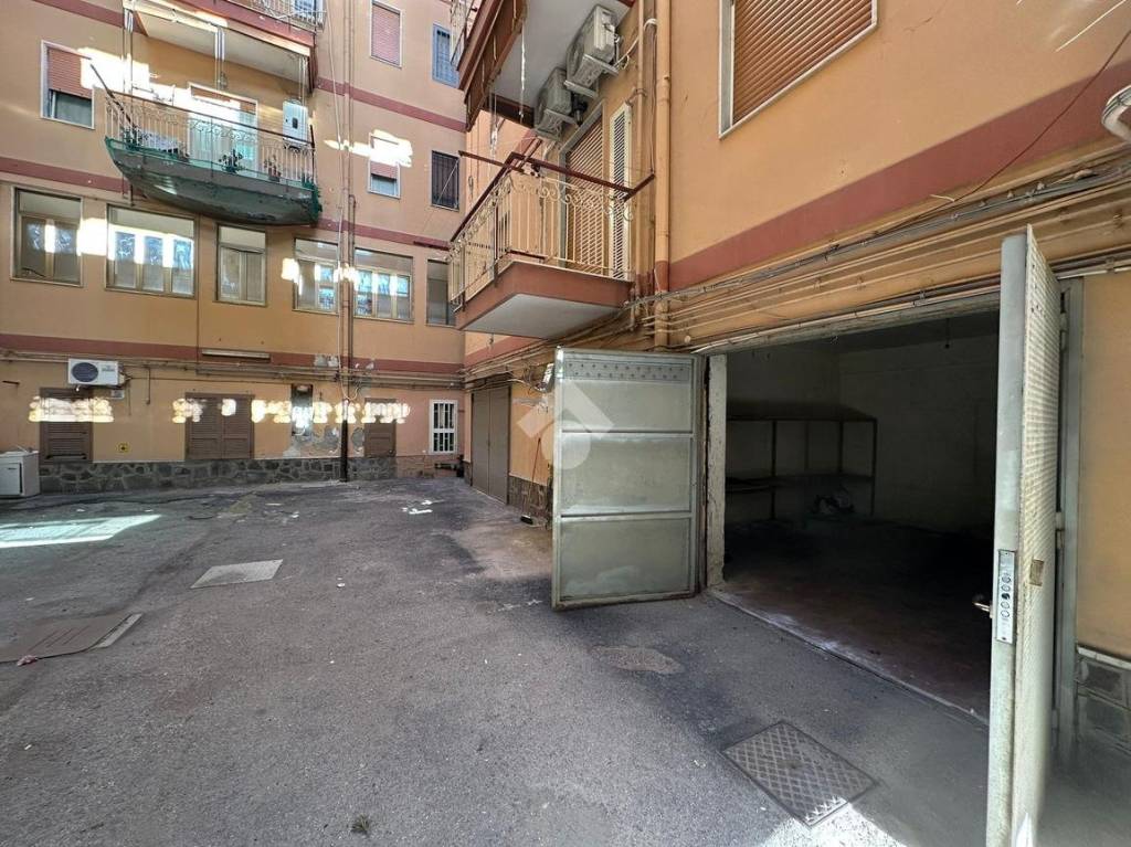 immagine annuncio 3 di 11