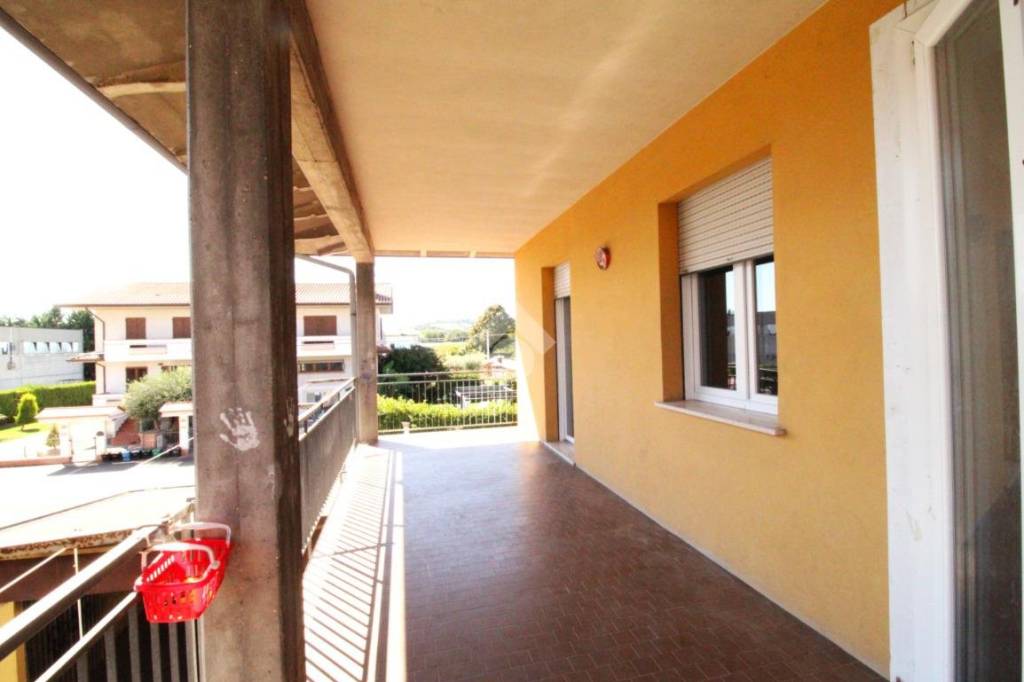 immagine annuncio 13 di 15