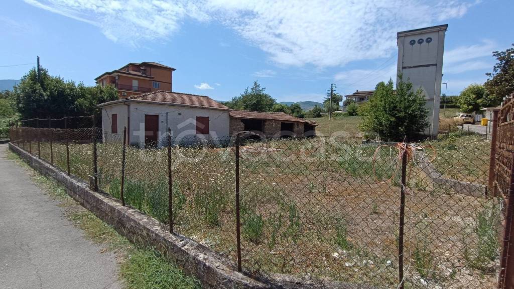 immagine annuncio 2 di 6