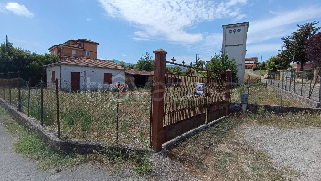 immagine annuncio 5 di 6