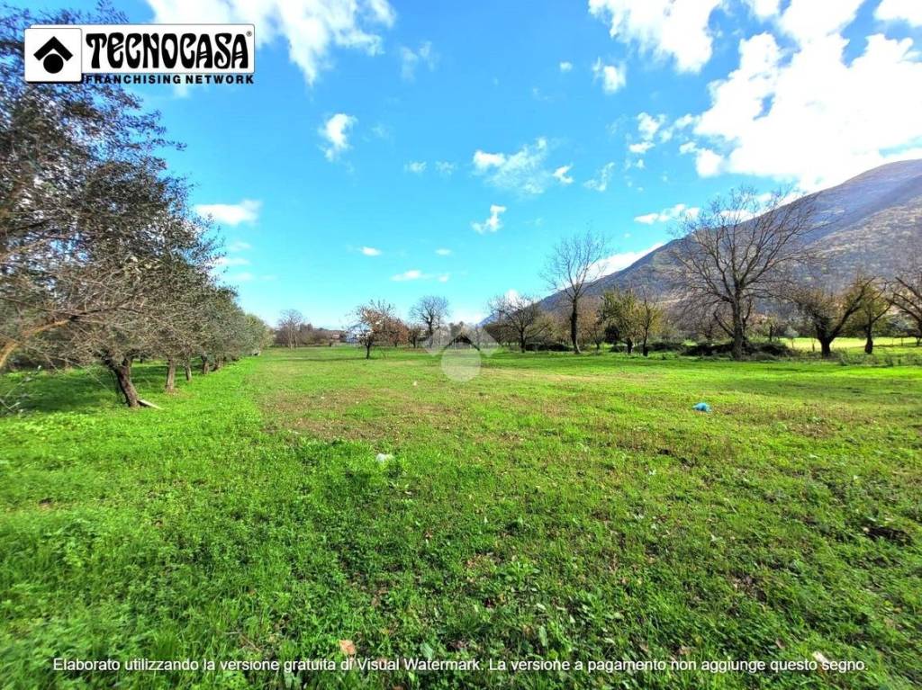 immagine annuncio 12 di 15