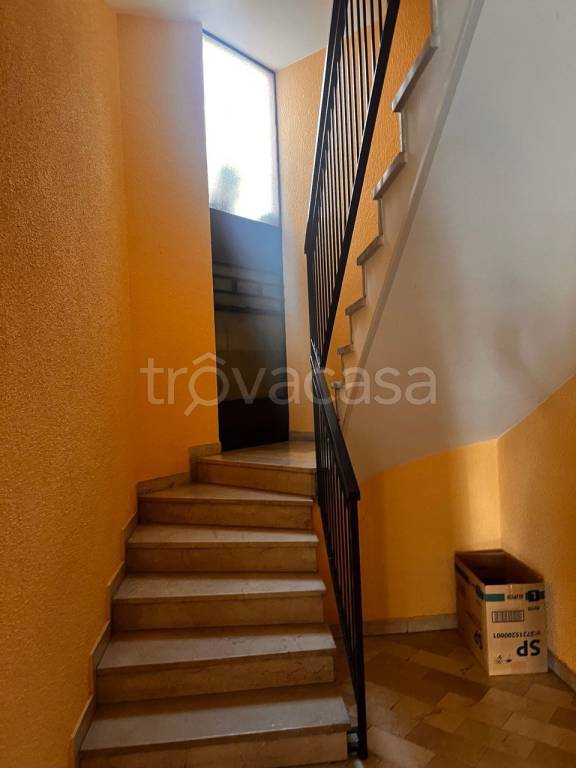 immagine annuncio 5 di 8