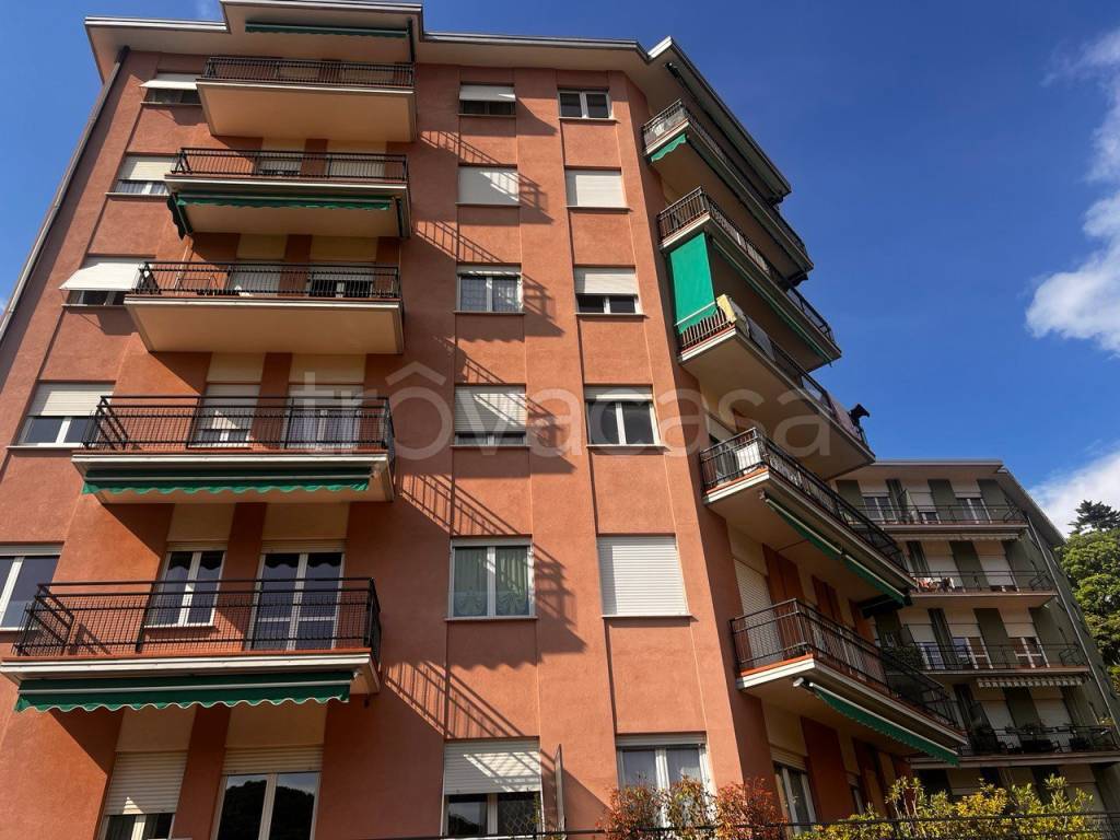 immagine annuncio 3 di 8