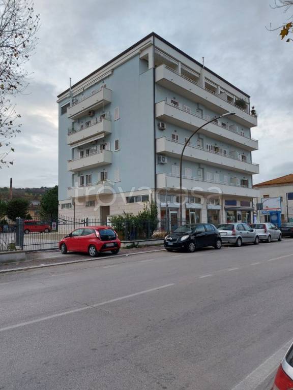 immagine annuncio 1 di 12