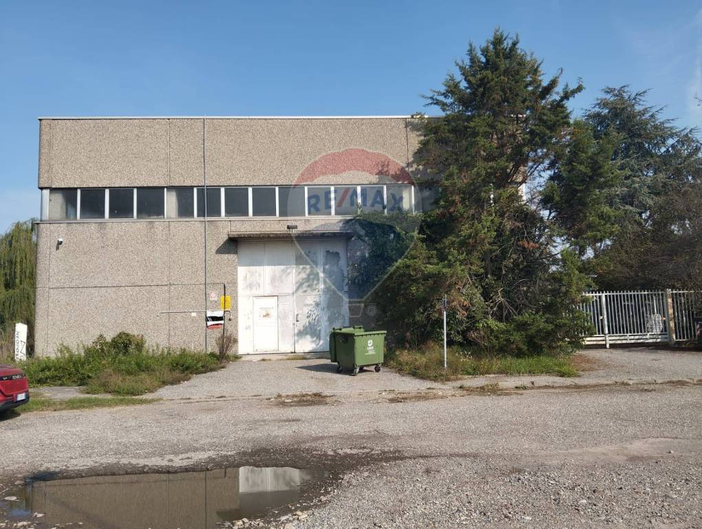 immagine annuncio 3 di 15