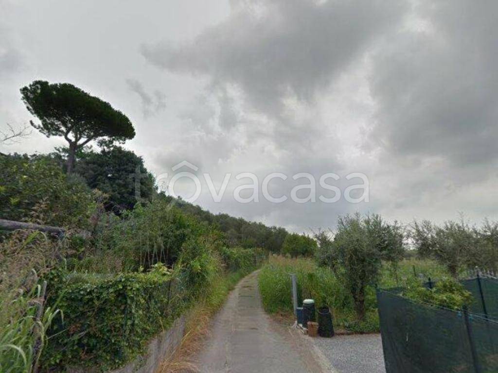 immagine annuncio 2 di 11