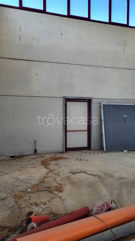 immagine annuncio 3 di 8
