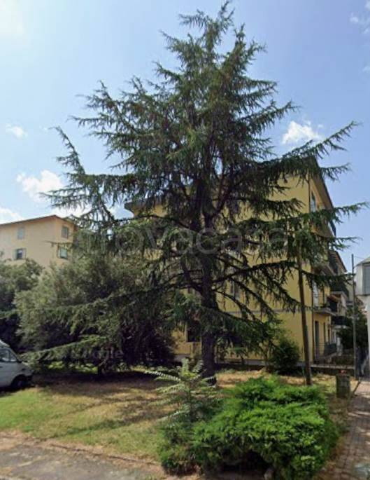 immagine annuncio 1 di 7