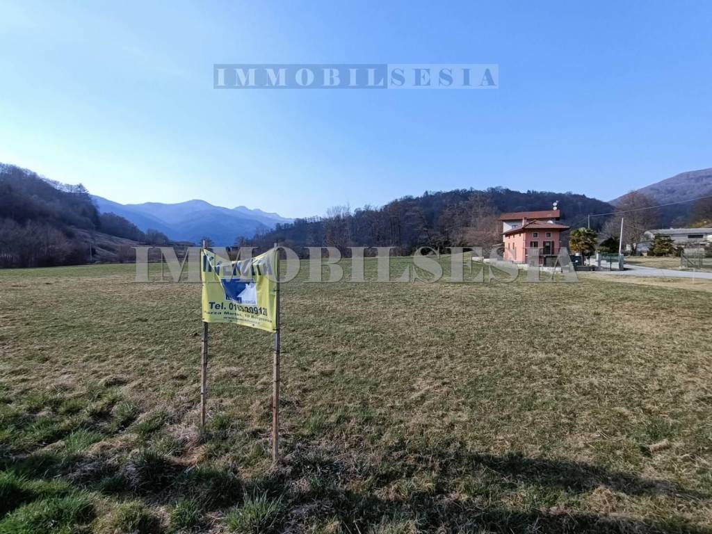 immagine annuncio 2 di 12