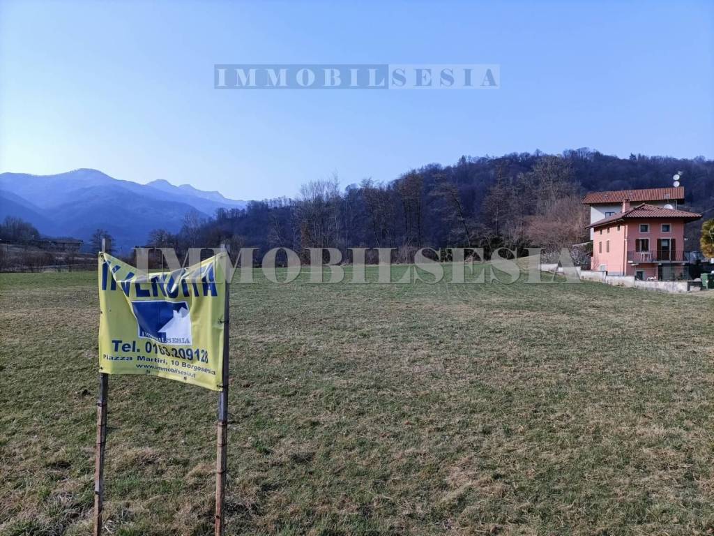 immagine annuncio 7 di 12