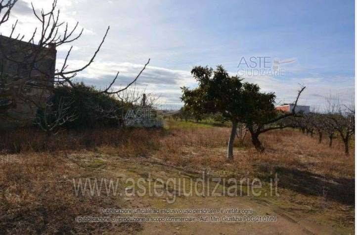 immagine annuncio 2 di 7