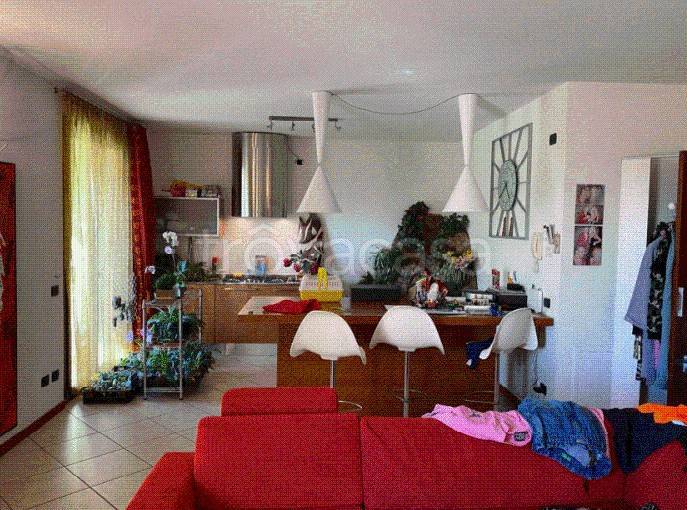 immagine annuncio 9 di 14