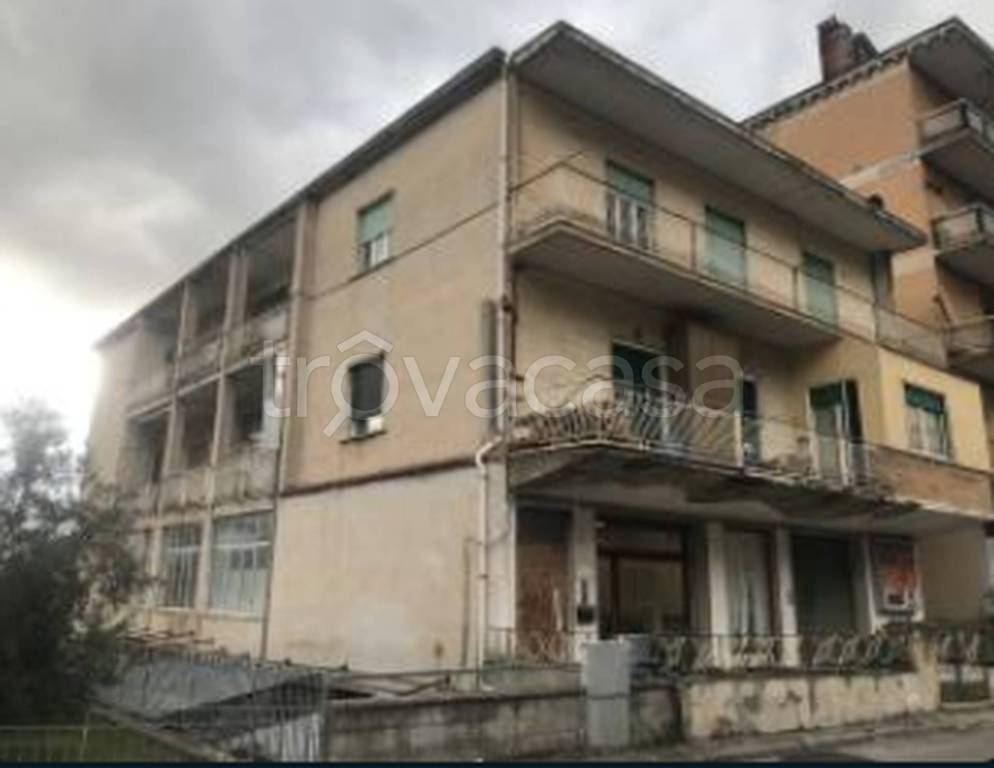immagine annuncio 2 di 12
