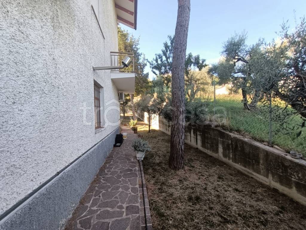 immagine annuncio 4 di 11