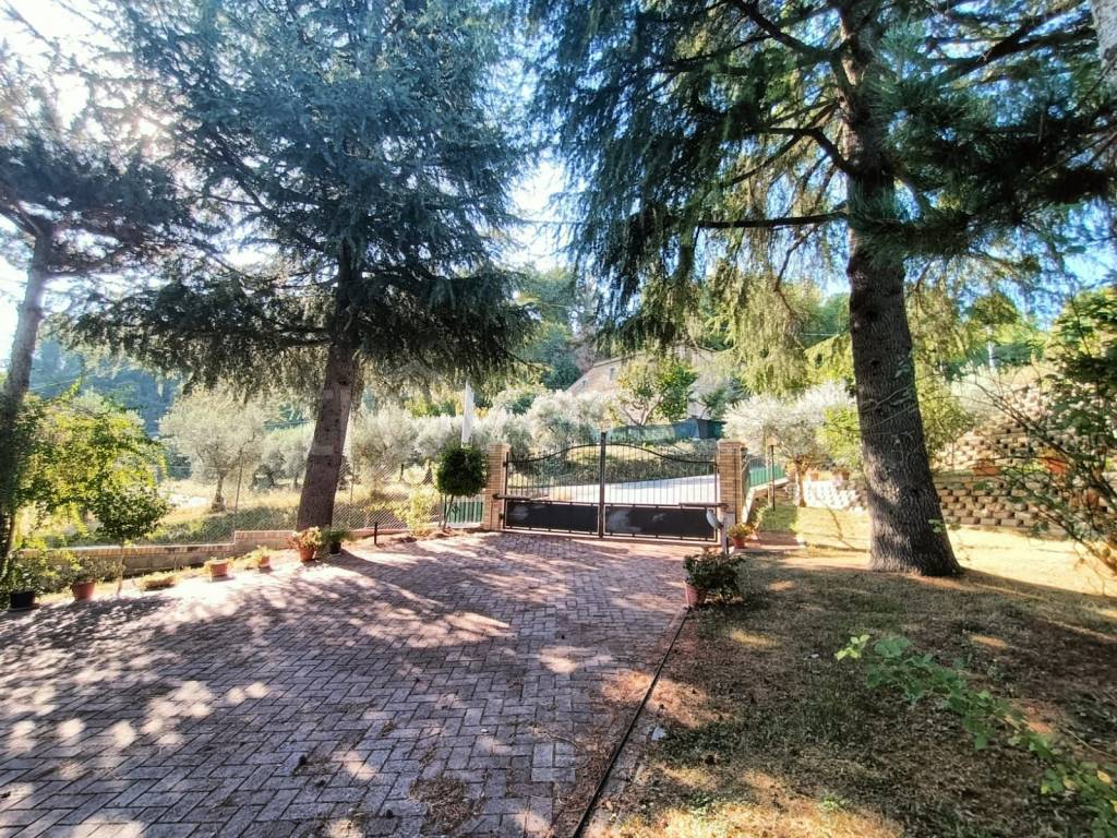 immagine annuncio 5 di 11