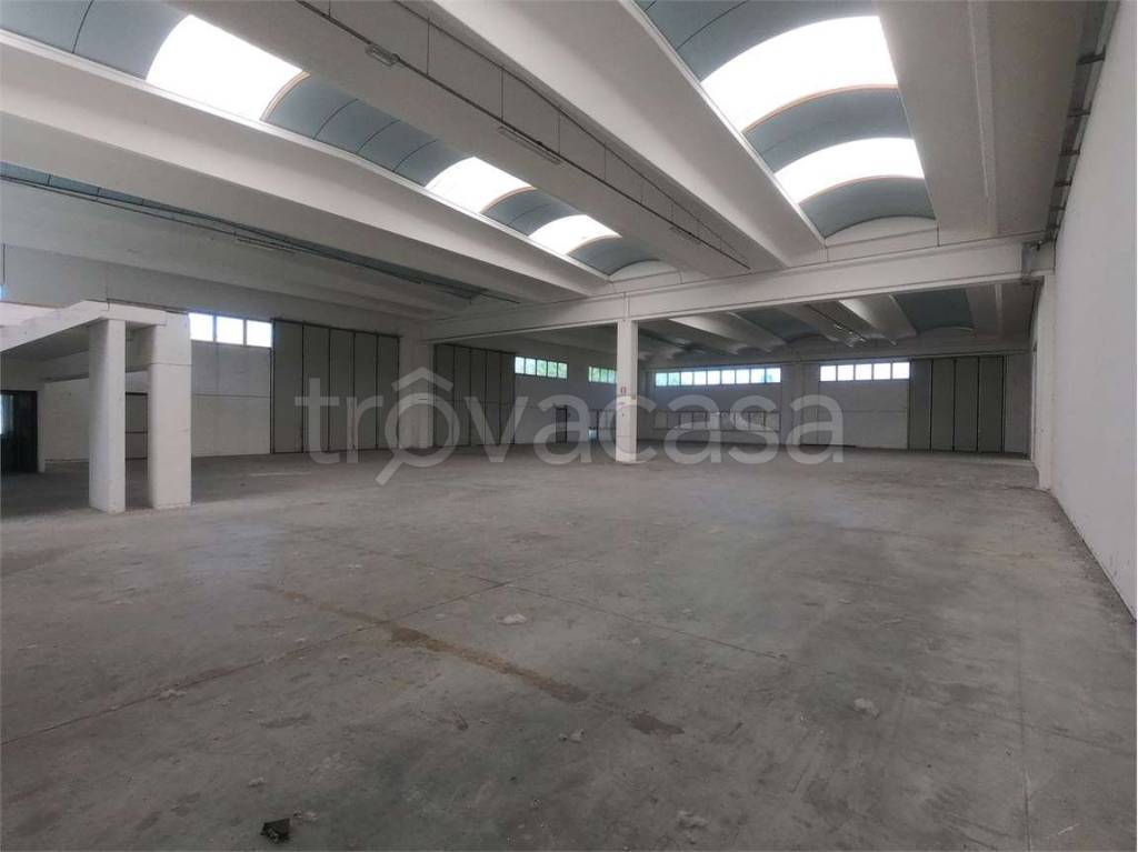 immagine annuncio 1 di 7