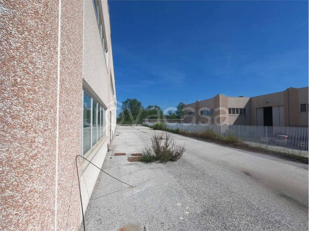 immagine annuncio 4 di 7