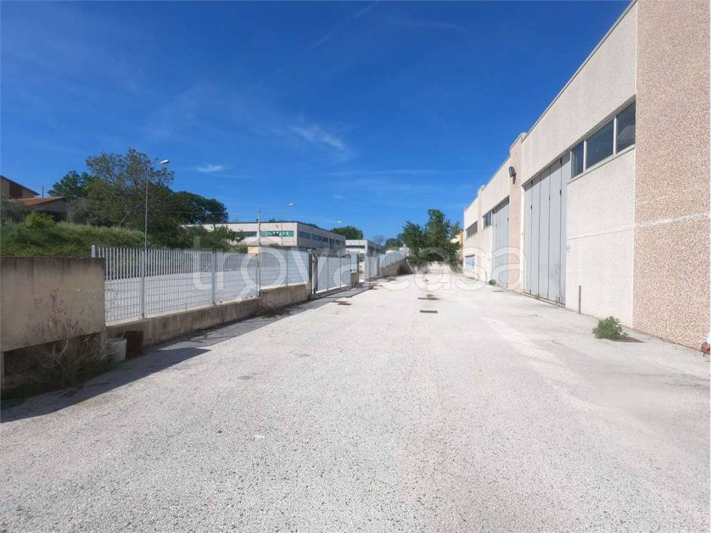 immagine annuncio 5 di 7