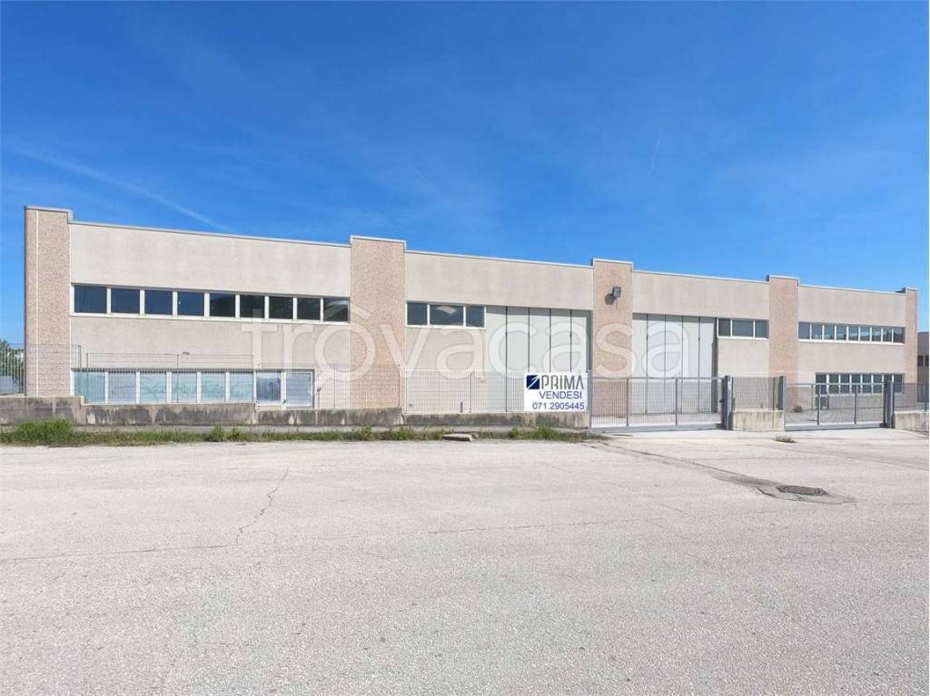 immagine annuncio 6 di 7