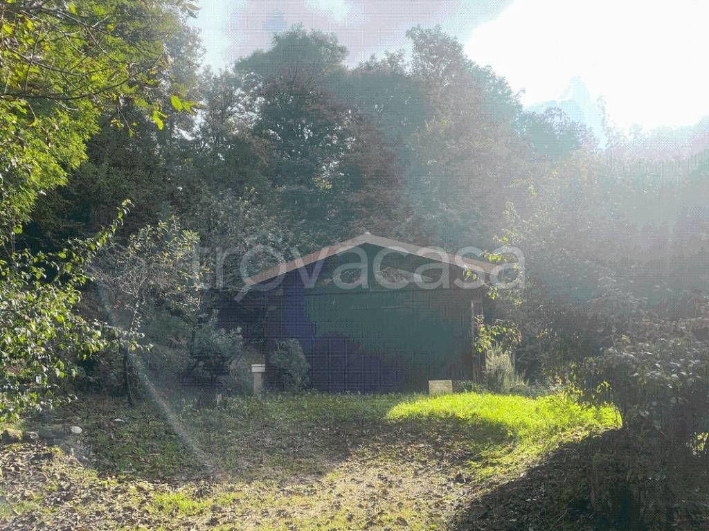 immagine annuncio 2 di 12