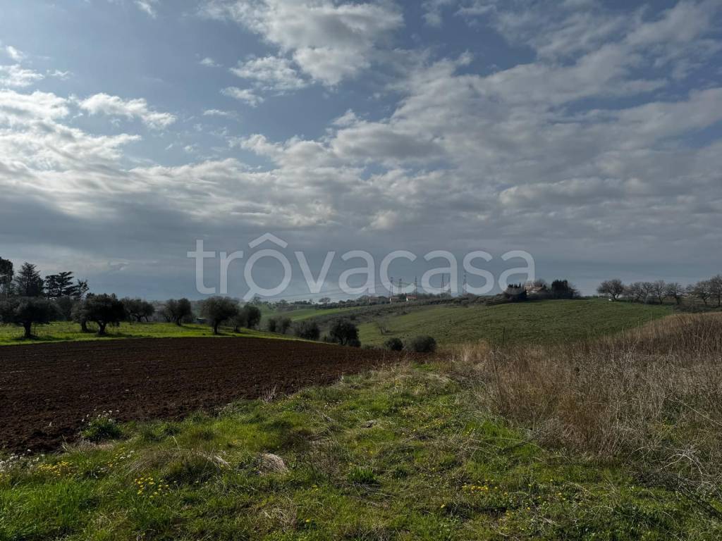 immagine annuncio 2 di 6