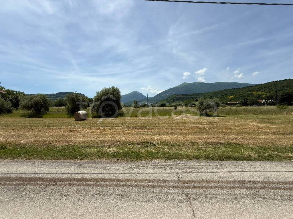 immagine annuncio 9 di 13