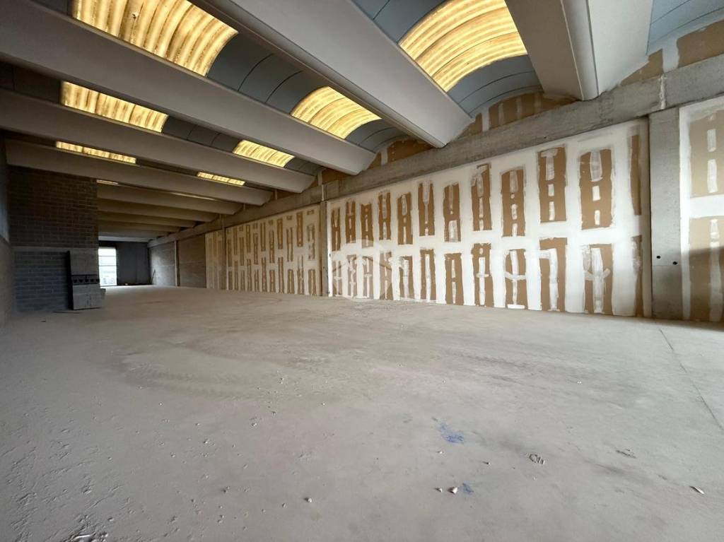 immagine annuncio 3 di 12