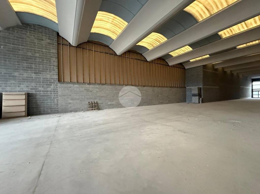 immagine annuncio 6 di 12