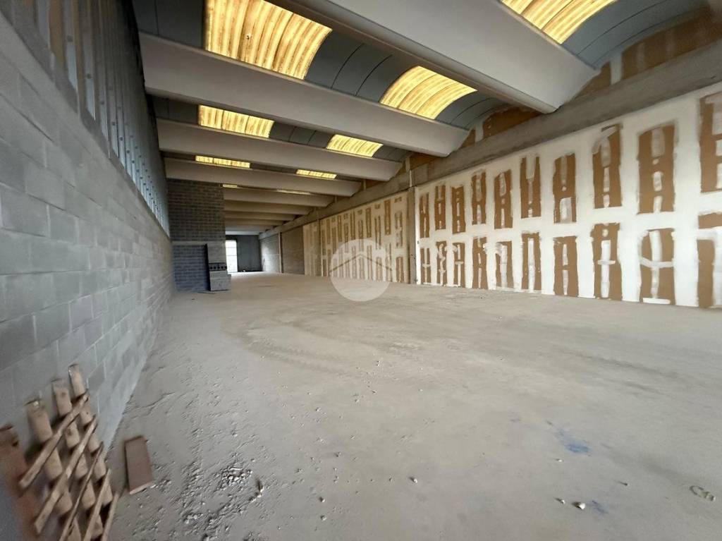 immagine annuncio 8 di 12