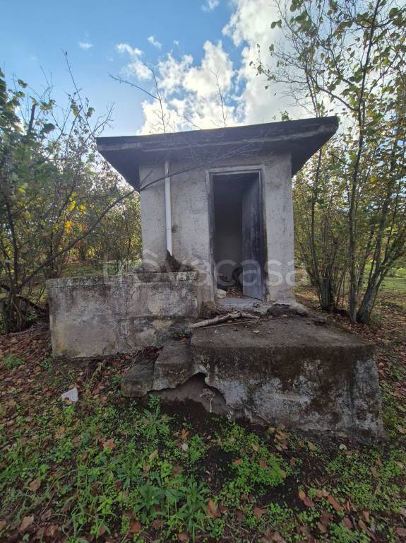 immagine annuncio 1 di 2