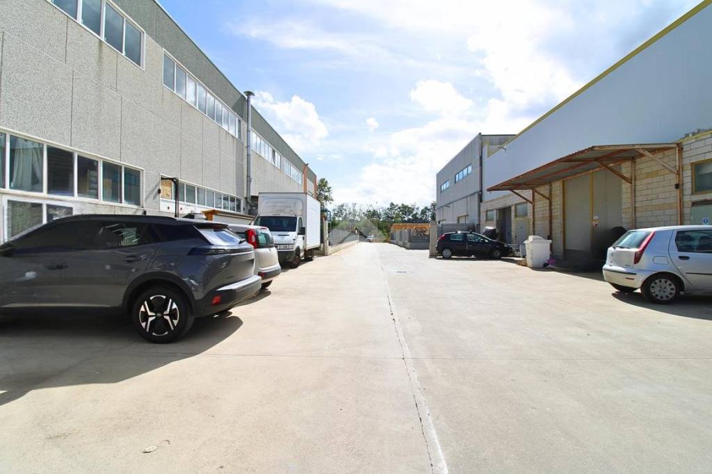 immagine annuncio 2 di 15