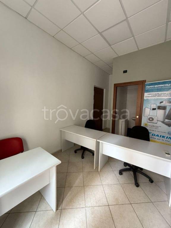 immagine annuncio 3 di 14