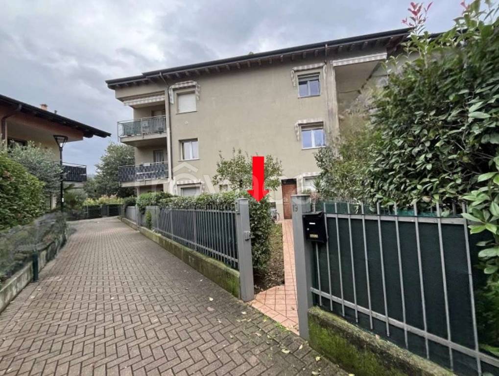 immagine annuncio 3 di 15