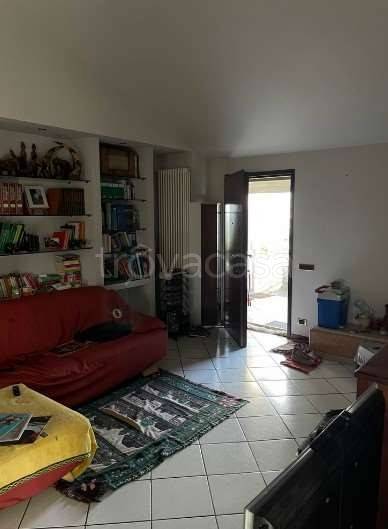 immagine annuncio 5 di 12