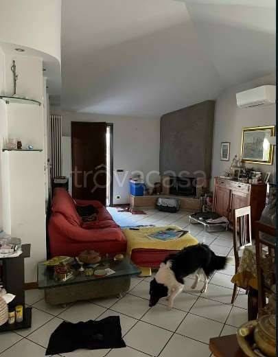 immagine annuncio 8 di 12